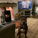 Дом отдыха Woodland - Private Courtyard - Pet Friendly Retreat In The Heart Of Уиндермир