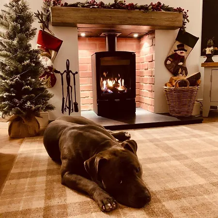 Сasa de vacaciones Woodland - Private Courtyard - Pet Friendly Retreat In The Heart Of *