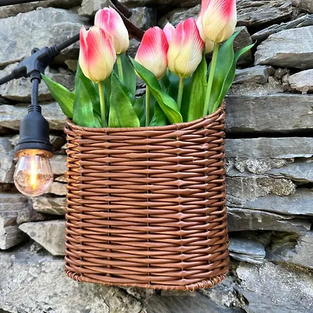 Сasa de vacaciones Woodland - Private Courtyard - Pet Friendly Retreat In The Heart Of Windermere